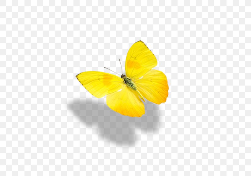Monarch Butterfly Yellow, PNG, 576x576px, Butterfly, Arthropod, Brush Footed Butterfly, Flower, Gratis Download Free