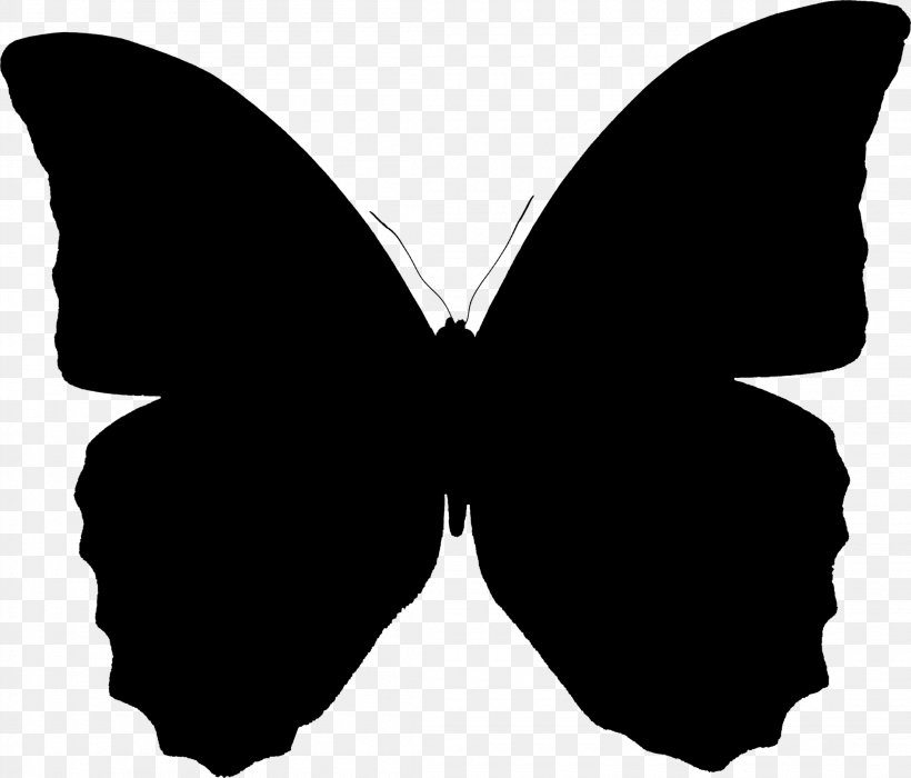 United States Of America Image, PNG, 2200x1880px, United States Of America, Americas, Black, Blackandwhite, Brushfooted Butterfly Download Free