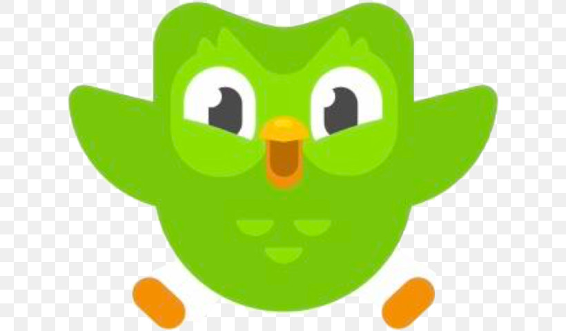 Green Cartoon Yellow Owl Bird, PNG, 626x480px, Green, Bird, Cartoon, Logo, Owl Download Free