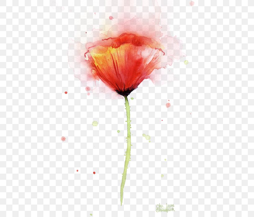 Poppy Art Watercolor Painting Paper, PNG, 488x700px, Poppy, Abstract Art, Art, Artist, Common Poppy Download Free