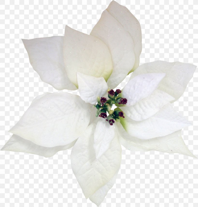 Cut Flowers White Arabian Jasmine, PNG, 1065x1114px, Flower, Arabian Jasmine, Art, Blue, Cut Flowers Download Free