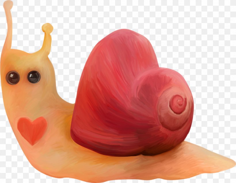 Snail, PNG, 1024x794px, Snail, Heart, Molluscs, Snails And Slugs Download Free