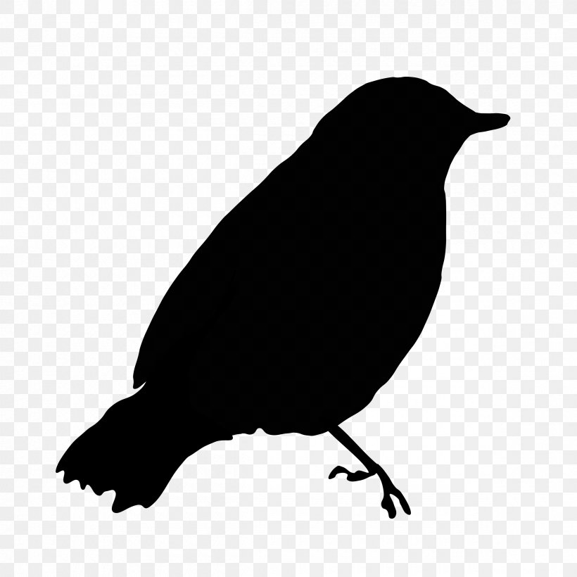 Bird Flight European Robin Clip Art, PNG, 2400x2400px, Bird, American Crow, Beak, Bird Flight, Black And White Download Free