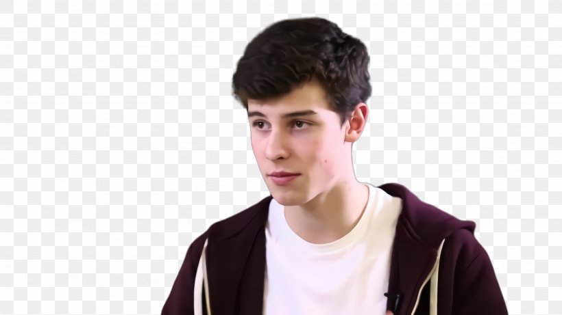 Cartoon Kids, PNG, 2668x1500px, Shawn Mendes, Black Hair, Channel One Russia, Cheek, Chin Download Free