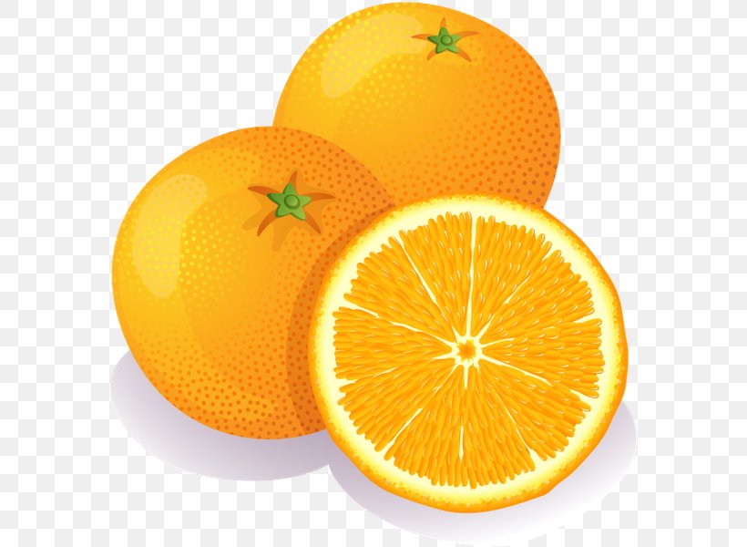 Orange Fruit Clip Art, PNG, 588x600px, Orange, Bitter Orange, Citric Acid, Citron, Citrus Download Free