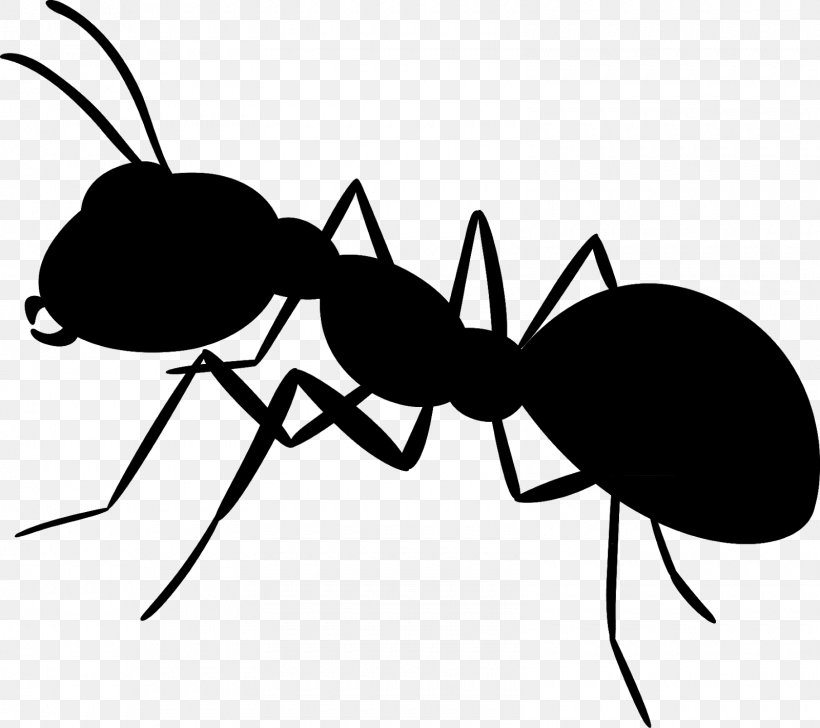Clip Art Insect Cartoon Line Membrane, PNG, 1600x1422px, Insect, Ant, Arthropod, Carpenter Ant, Cartoon Download Free