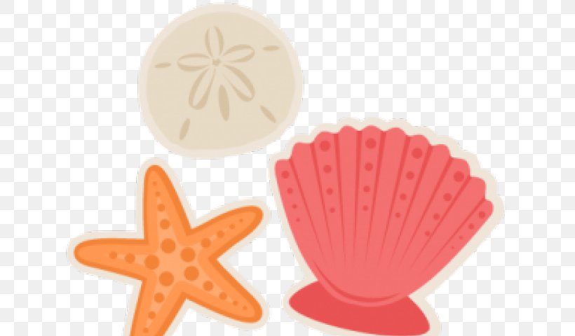 Clip Art Seashell, PNG, 640x480px, Seashell, Cake Decorating Supply, Drawing, Istock, Mollusc Shell Download Free