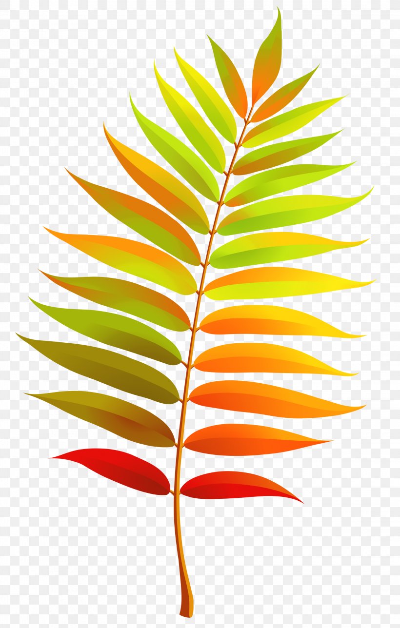 Leaf Clip Art, PNG, 2240x3520px, Leaf, Autumn, Autumn Leaf Color, Blog, Flower Download Free
