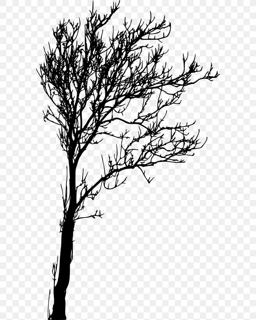 Twig Tree Branch, PNG, 590x1024px, Twig, Black And White, Branch, Drawing, Flower Download Free