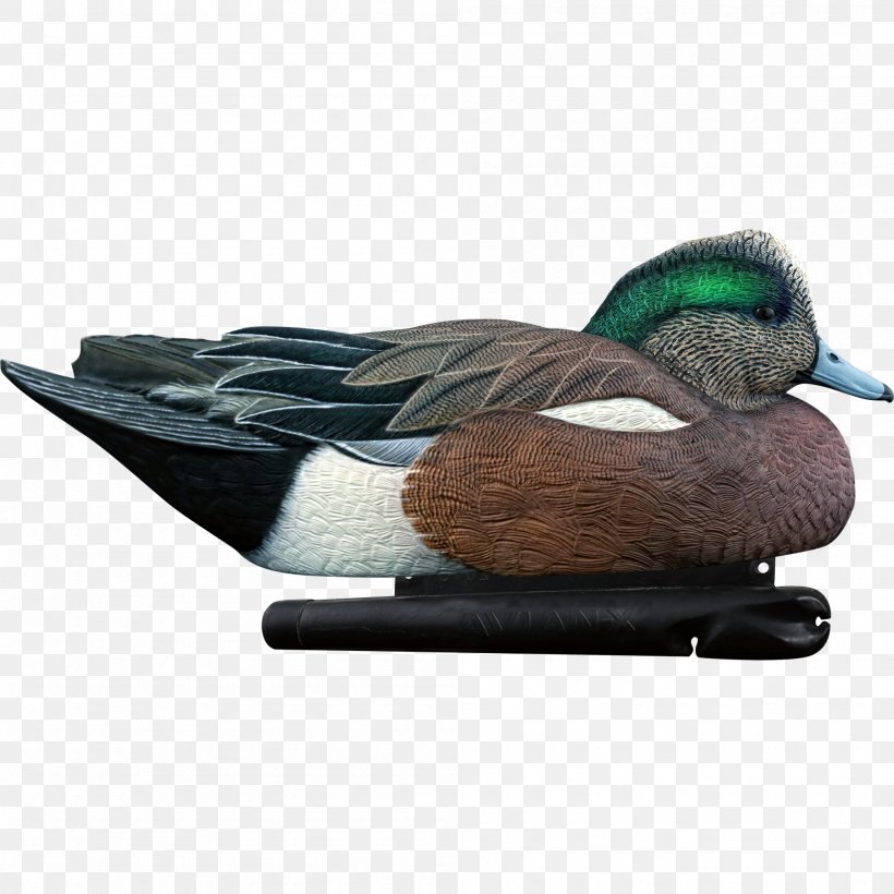 Mallard Duck Decoy Duck Decoy Goose, PNG, 2000x2000px, Mallard, American Wigeon, Anseriformes, Beak, Bird Download Free