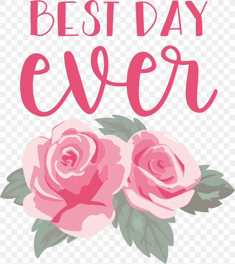 Best Day Ever Wedding, PNG, 2667x3000px, Best Day Ever, Flower, Garden Roses, Hybrid Tea Rose, Multiflora Rose Download Free