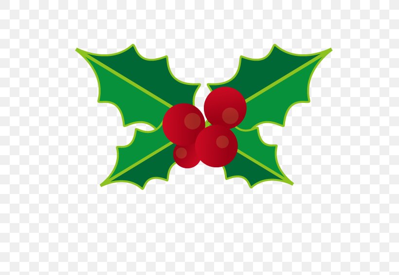 Christmast Decoration, PNG, 567x567px, Grapevine, Aquifoliaceae, Aquifoliales, Family M Invest Doo, Flowering Plant Download Free