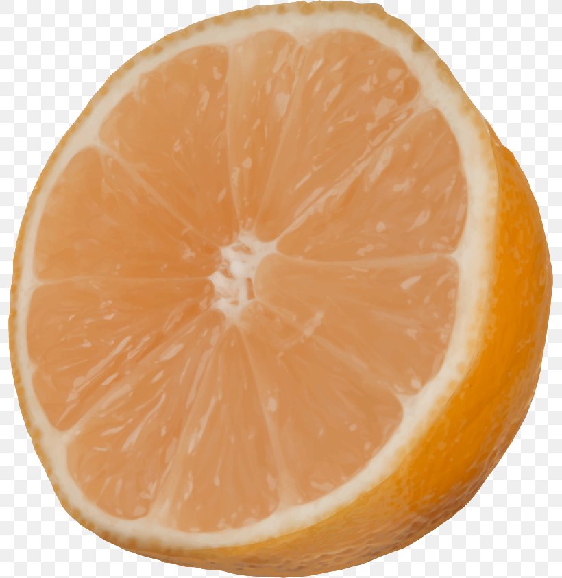 Clementine Mandarin Orange Tangelo Tangerine Grapefruit, PNG, 795x843px, Clementine, Citric Acid, Citrus, Food, Fruit Download Free