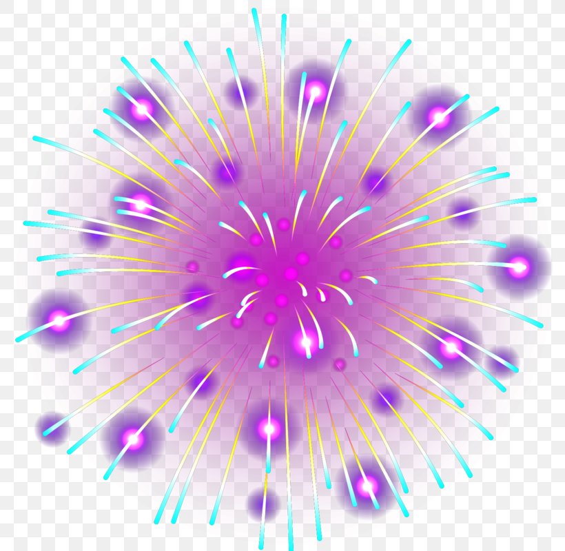 Fireworks Firecracker Clip Art Chinese New Year, PNG, 800x800px, Fireworks, Chinese New Year, Diwali, Festival, Firecracker Download Free