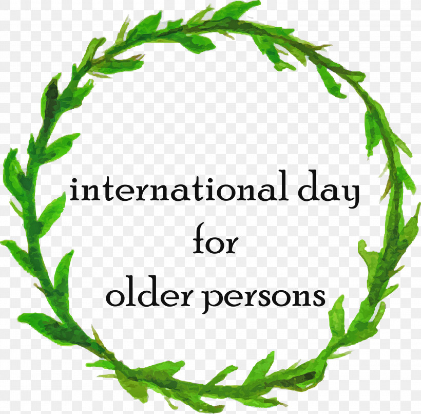 International Day For Older Persons, PNG, 3000x2952px, International Day For Older Persons, Grasses, Herbal Medicine, Leaf, Leaf Vegetable Download Free