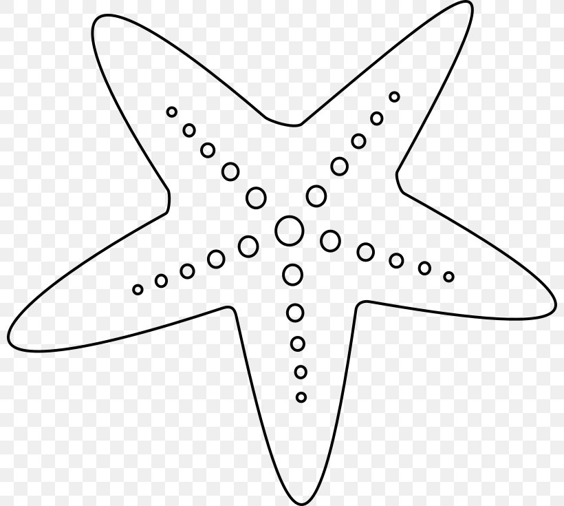 Starfish Black And White Clip Art Png 800x735px Starfish Area Artwork Black Black And White Download
