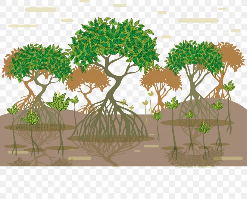 Tropical And Subtropical Moist Broadleaf Forests Mangrove Euclidean Vector Tree, PNG, 5833x4700px, Mangrove, Blue Carbon, Bonsai, Drawing, Flowerpot Download Free