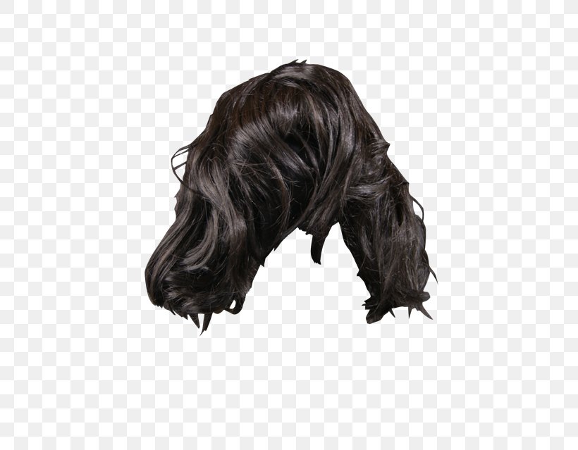 Wig Black Hair Brown Hair Long Hair, PNG, 436x639px, Wig, Black, Black Hair, Brown, Brown Hair Download Free