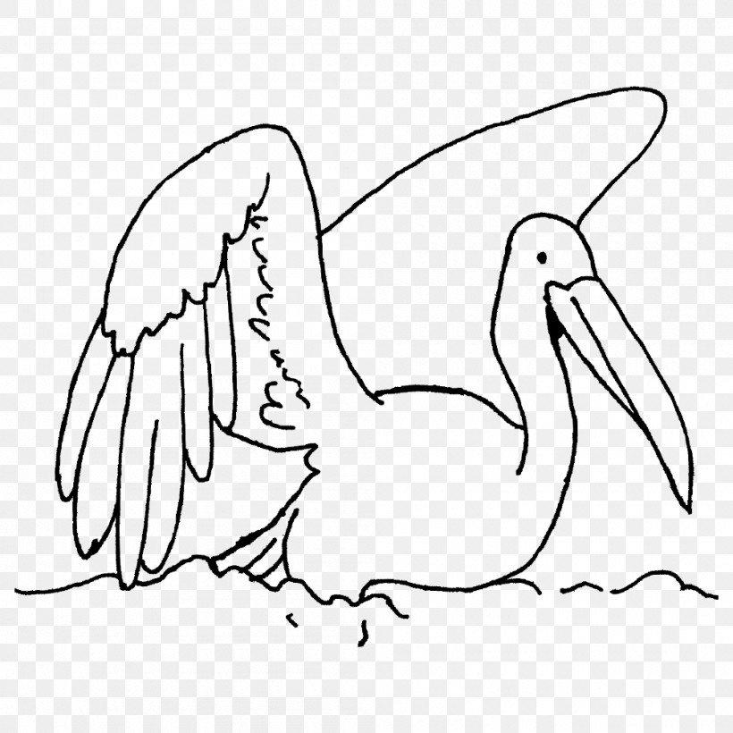 Beak Pelecaniformes /m/02csf Birds Line Art, PNG, 1000x1000px, Beak, Area, Birds, Cartoon, Drawing Download Free
