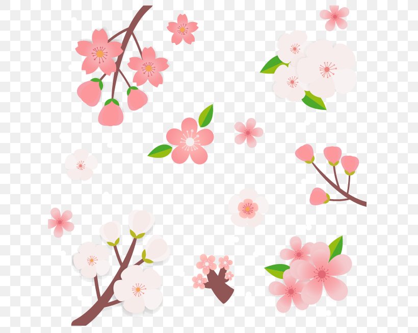 Cherry Blossom Cerasus, PNG, 646x652px, Cherry Blossom, Animation, Blossom, Branch, Cerasus Download Free