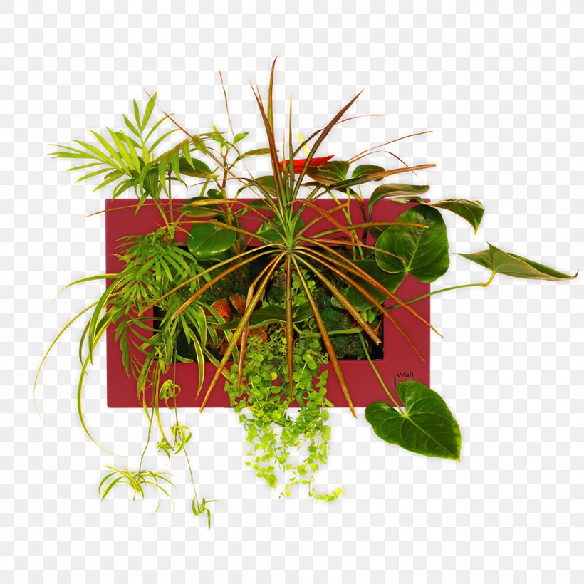 Flowerpot Leaf Houseplant Herb, PNG, 1000x1000px, Flowerpot, Flower, Herb, Houseplant, Leaf Download Free