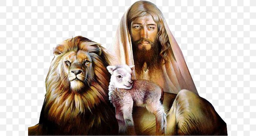Jesus Lion Of Judah Bible Book Of Revelation, PNG, 640x437px, Jesus, Aggression, Bible, Big Cats, Book Of Revelation Download Free