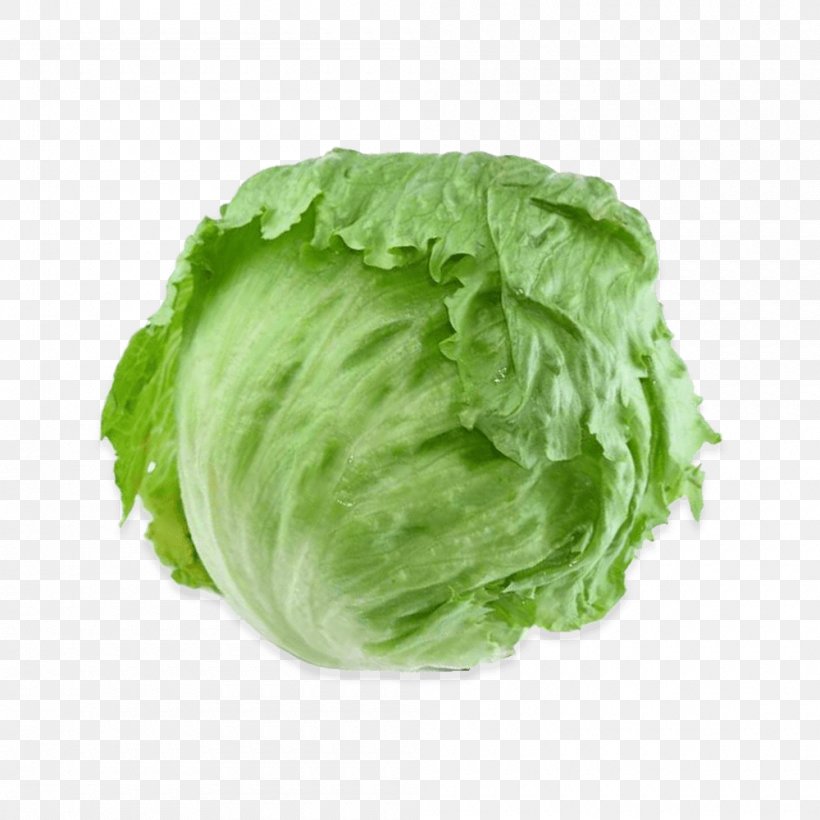 Romaine Lettuce Iceberg Lettuce Vegetable Salad Rijk Zwaan, PNG, 1000x1000px, Romaine Lettuce, Cabbage, Cauliflower, Food, Fruit Download Free