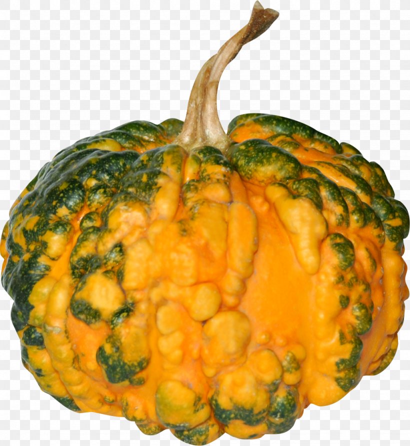 Vegetable Cucurbita Pumpkin Food Squash, PNG, 1024x1114px, Vegetable, Calabaza, Cucumber Gourd And Melon Family, Cucurbita, Food Download Free