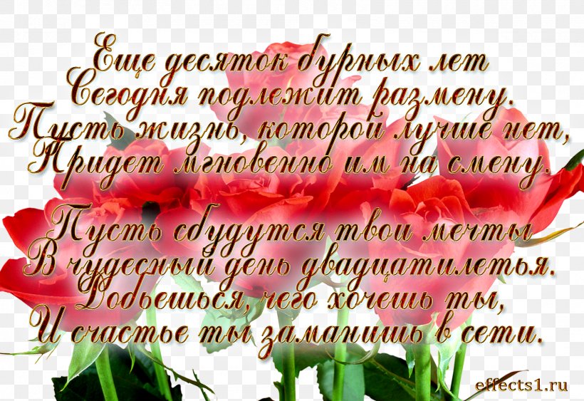 Birthday Jubileum Verse Garden Roses Wedding Anniversary, PNG, 1600x1100px, Birthday, Calligraphy, Cut Flowers, Daytime, Flora Download Free