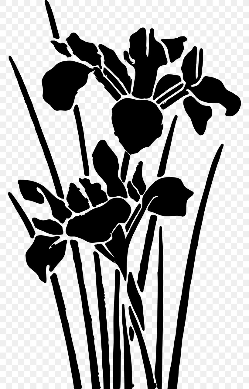 Floral Design Visual Arts Illustration, PNG, 768x1280px, Floral Design, Art, Blackandwhite, Botany, Flower Download Free