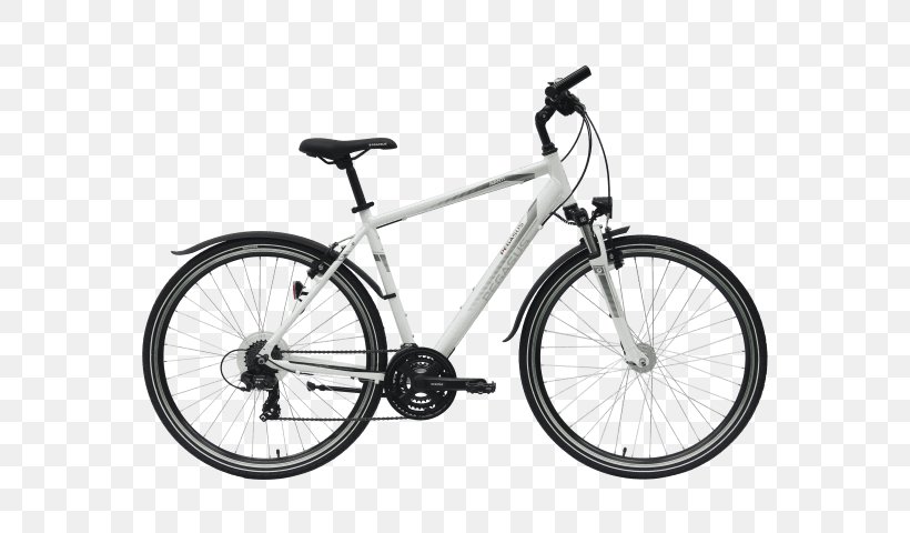 Hybrid Bicycle Giant Bicycles Mountain Bike Single-speed Bicycle, PNG, 640x480px, Bicycle, Bicycle Accessory, Bicycle Drivetrain Part, Bicycle Frame, Bicycle Frames Download Free