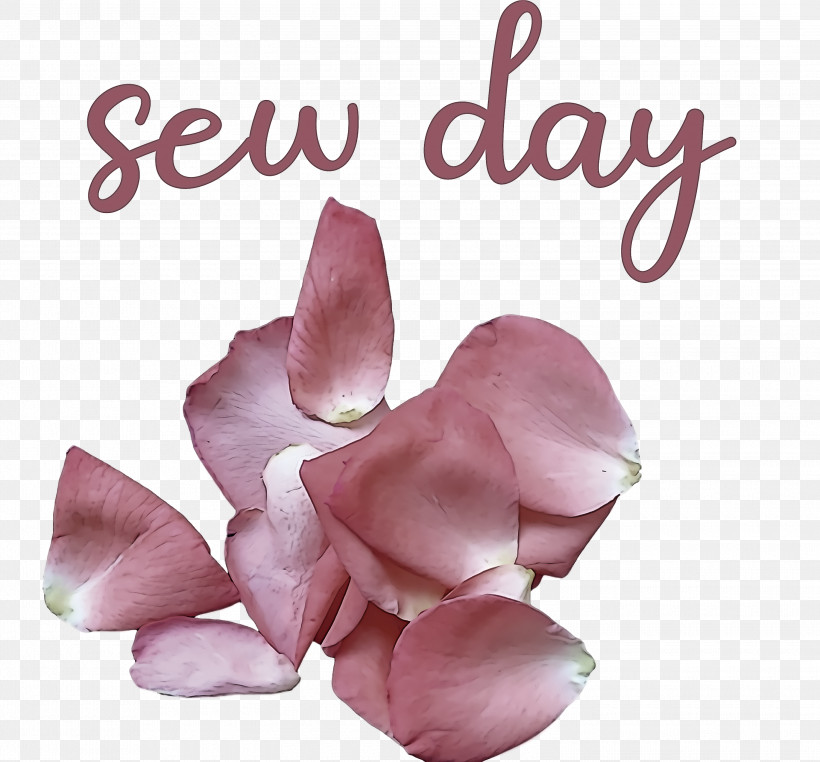Sew Day, PNG, 3000x2790px, Rose, Cut Flowers, Flower, Meter, Petal Download Free