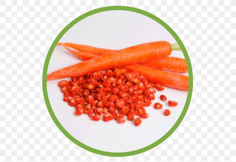 Baby Carrot, PNG, 562x562px, Baby Carrot, Carrot, Natural Foods, Orange, Superfood Download Free