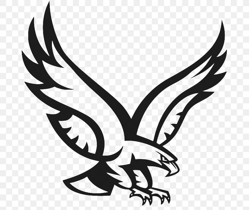Bald Eagle Logo Clip Art, PNG, 691x691px, Bald Eagle, Accipitriformes, Bird, Bird Of Prey, Blackandwhite Download Free