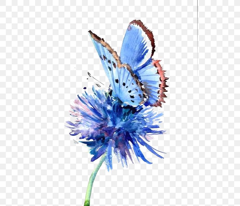 Butterfly Painting Blue Flower Drawing, PNG, 530x705px, Butterfly, Blue, Blue Flower, Brush Footed Butterfly, Color Download Free
