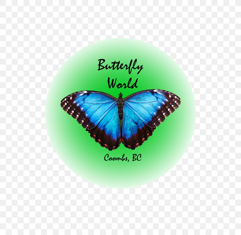 Butterfly World, Coombs Qualicum Beach Errington, British Columbia Coombs Country Auto Repair, PNG, 800x800px, Butterfly, Biological Life Cycle, British Columbia, Business, Coombs British Columbia Download Free