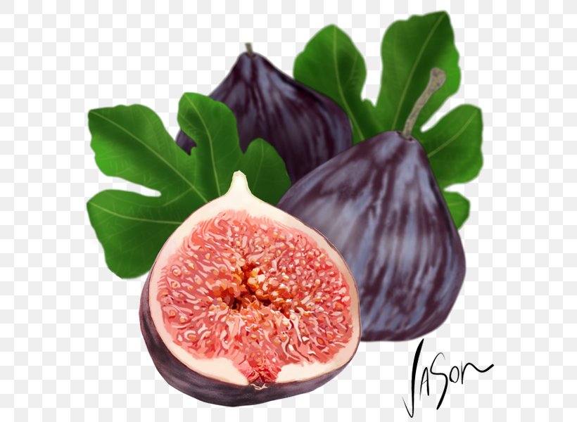 Common Fig Fruit Fig Leaf Fig Cake, PNG, 600x600px, Common Fig, Fig, Fig Cake, Fig Leaf, Food Download Free