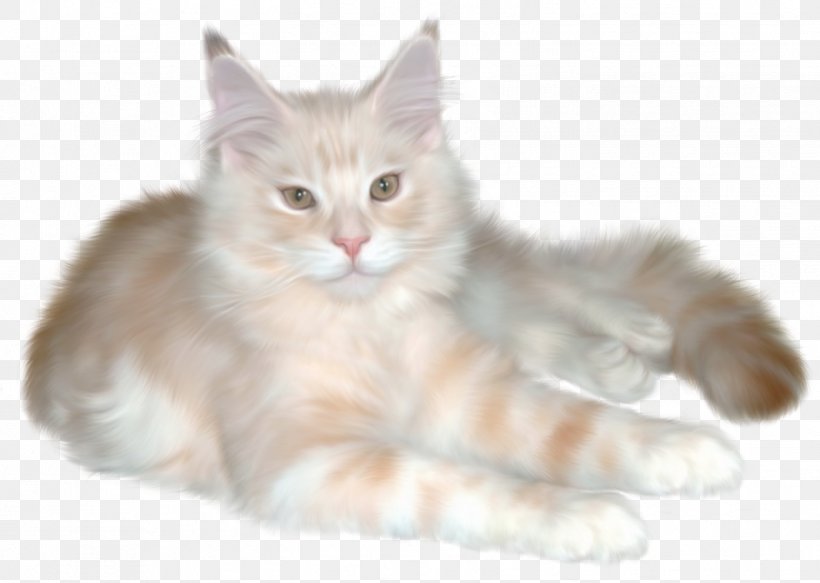 Persian Cat Kitten Ragdoll Clip Art, PNG, 1424x1014px, Persian Cat, Art, Asian Semi Longhair, Black Cat, British Semi Longhair Download Free
