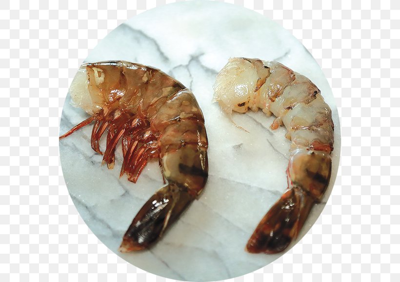 Prawns Caridea Lobster Scampi Shrimp, PNG, 578x578px, Prawns, Animal Source Foods, Caridea, Caridean Shrimp, Decapoda Download Free