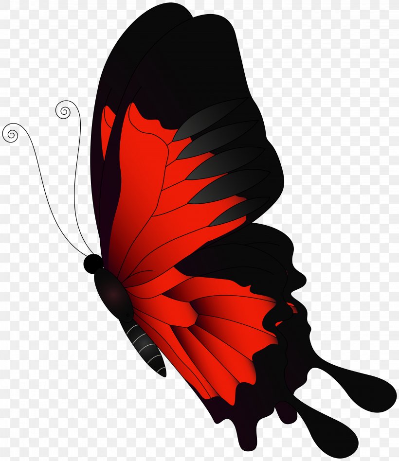 Butterfly Flight, PNG, 4323x5000px, Butterfly, Butterflies And Moths, Chroma Key, Color, Computer Graphics Download Free