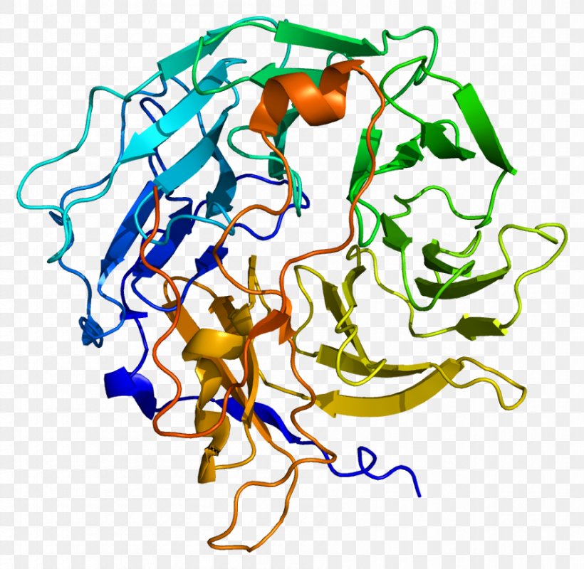 Chitinase Enzyme Lysosome Protein Coronin, PNG, 896x875px, Chitinase, Active Site, Area, Art, Artwork Download Free