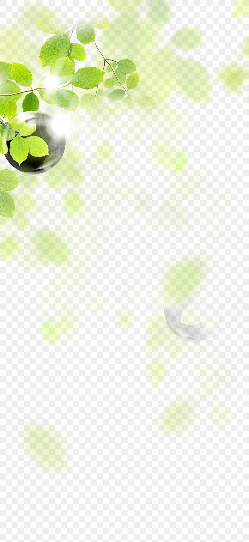 Green Leaf Angle LINE Pattern, PNG, 1920x4184px, Green, Floral Design, Grass, Leaf, Yellow Download Free
