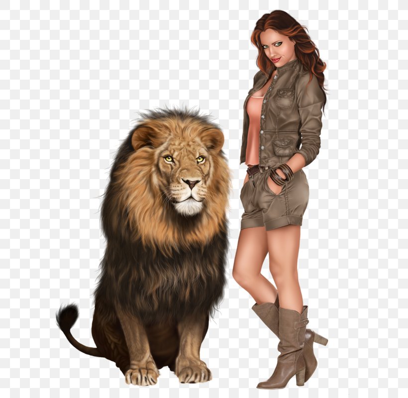 Lion Cat Clip Art, PNG, 800x800px, Lion, Animal, Big Cats, Carnivoran, Cat Download Free