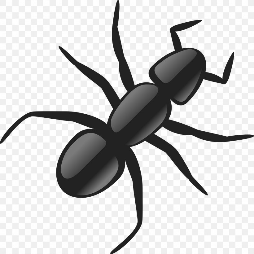 Ant Clip Art, PNG, 1280x1280px, Ant, Arachnid, Arthropod, Black And White, Blog Download Free