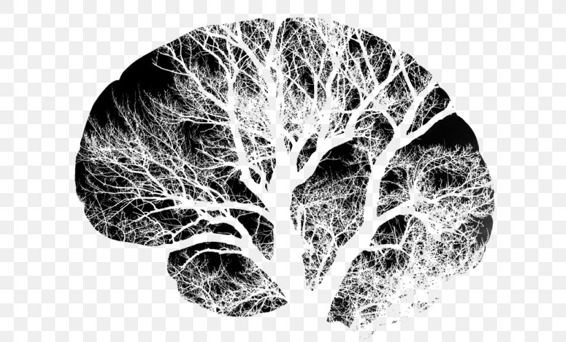Brain Injury Neuron Cerebral Cortex Artificial Neural Network, PNG, 765x496px, Watercolor, Cartoon, Flower, Frame, Heart Download Free