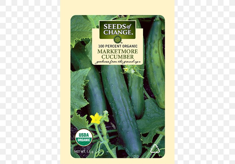 Cucumber Organic Food Seeds Of Change W. Atlee Burpee & Co., PNG, 573x573px, Cucumber, Bean, Cereal, Cucumber Gourd And Melon Family, Cucumis Download Free