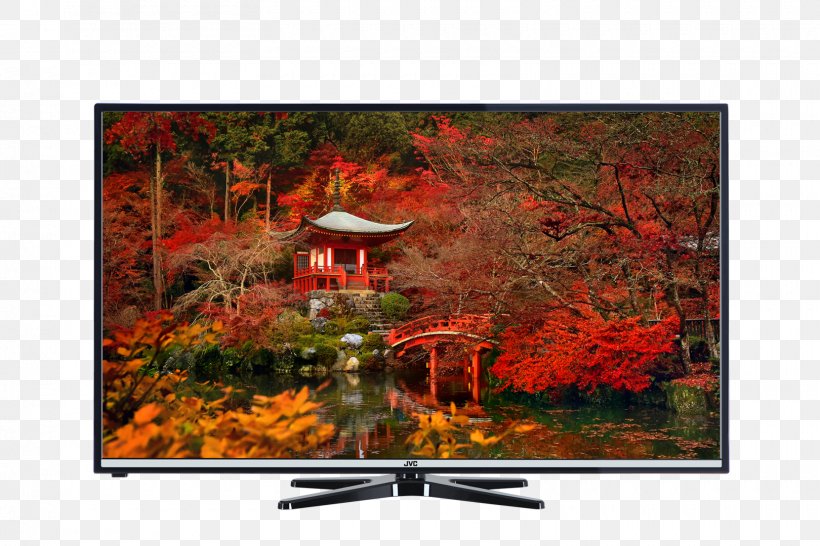 Daigo-ji JVC H30 Series Display Resolution High-definition Television Desktop Wallpaper, PNG, 1620x1080px, Daigoji, Autumn, Computer, Computer Monitors, Display Device Download Free
