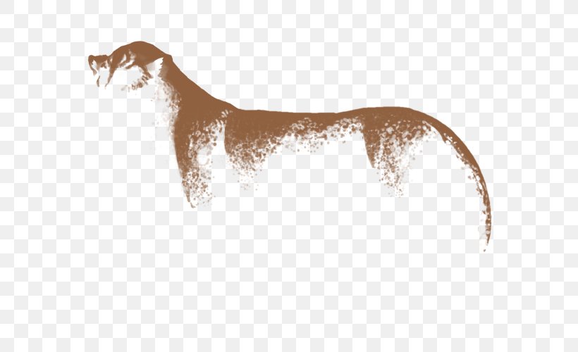 Dog Breed Italian Greyhound Wildlife, PNG, 640x500px, Dog Breed, Breed, Carnivoran, Dog, Dog Like Mammal Download Free