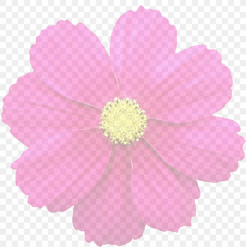 Flower Clip Art, PNG, 1278x1280px, Flower, Annual Plant, Cosmos, Cut Flowers, Daisy Family Download Free