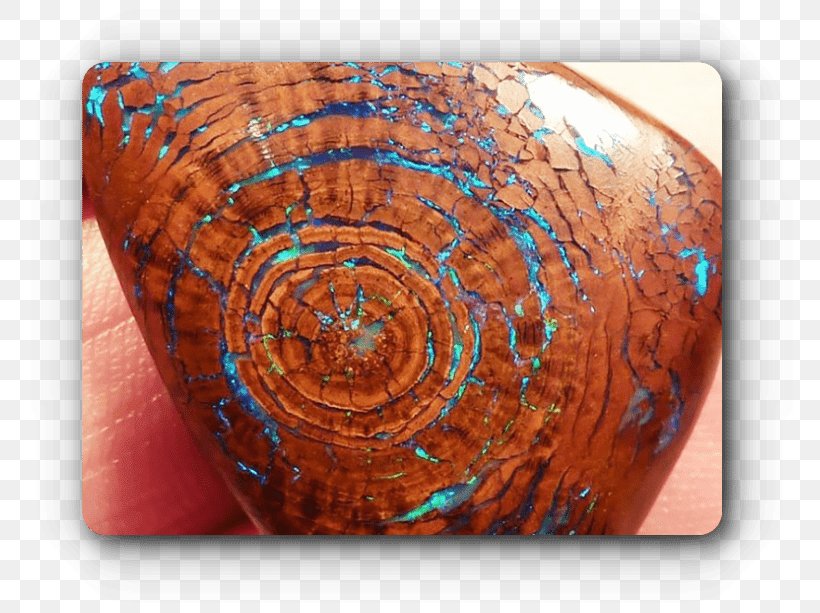 Table Opal Petrified Wood Mineral, PNG, 780x613px, Table, Close Up, Crystal, Fossil, Macro Photography Download Free